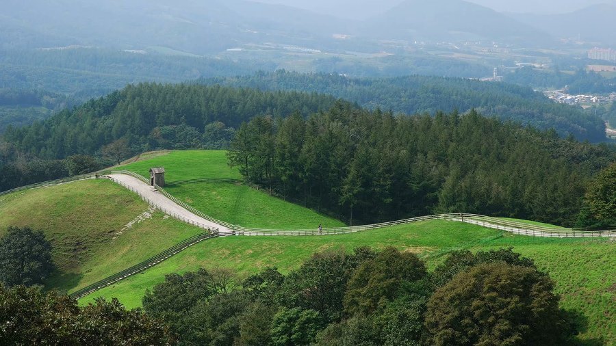 다운로드 (1).jpg