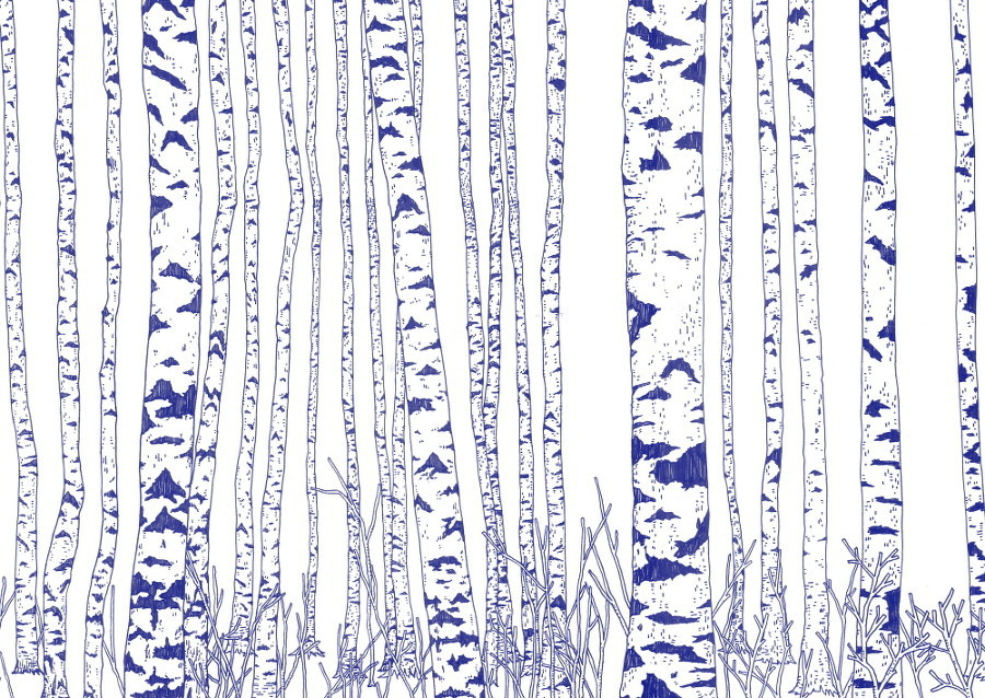 다운로드 (3).jpg