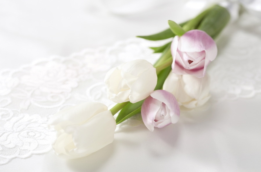 다운로드 (4).jpg