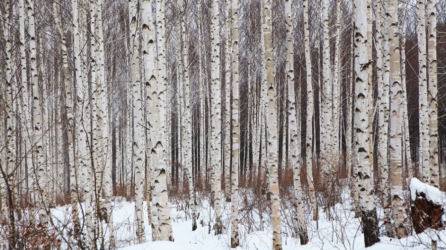 다운로드 (4).jpg