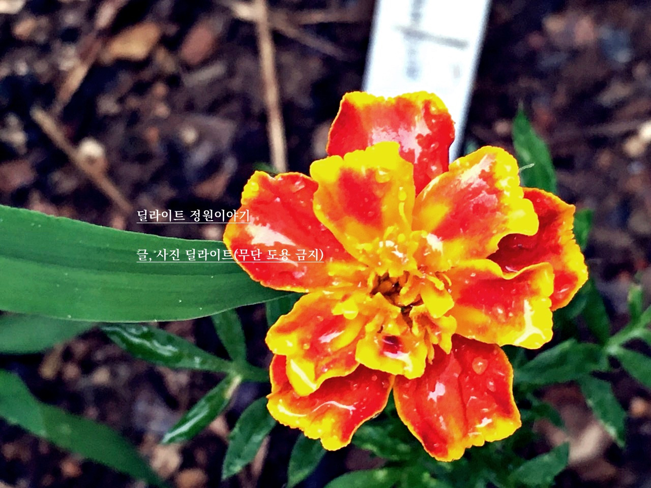 다운로드 (1).jpg