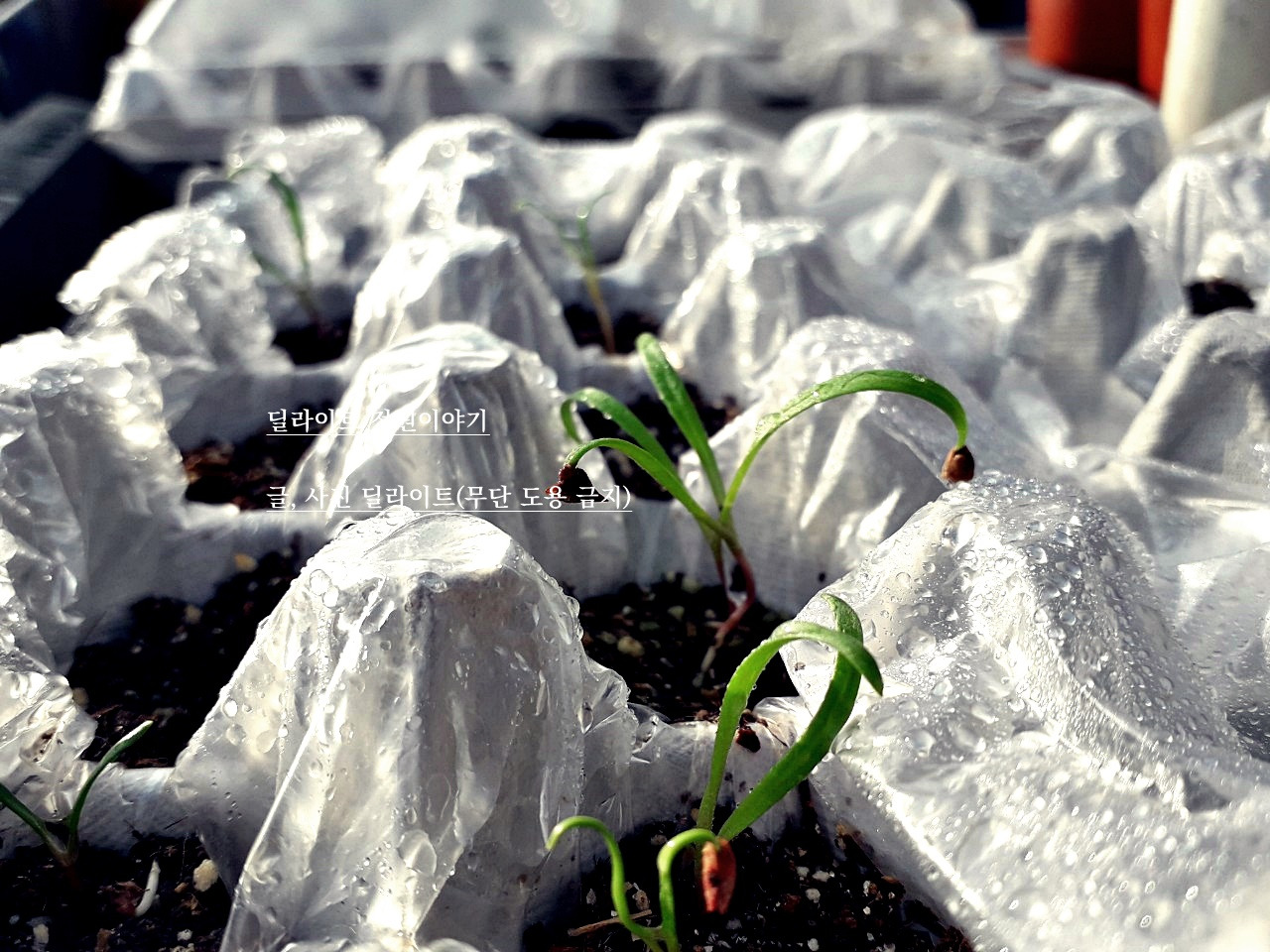 다운로드 (1).jpg