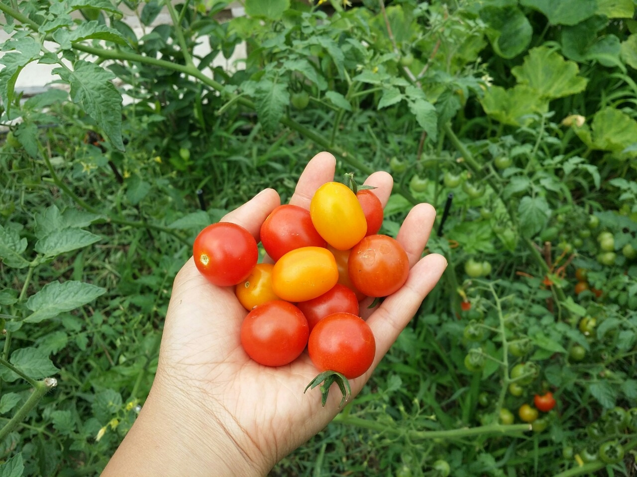 다운로드 (1).jpg