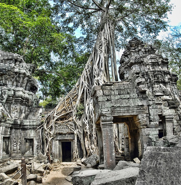 ta-prohm-2388126_640.jpg
