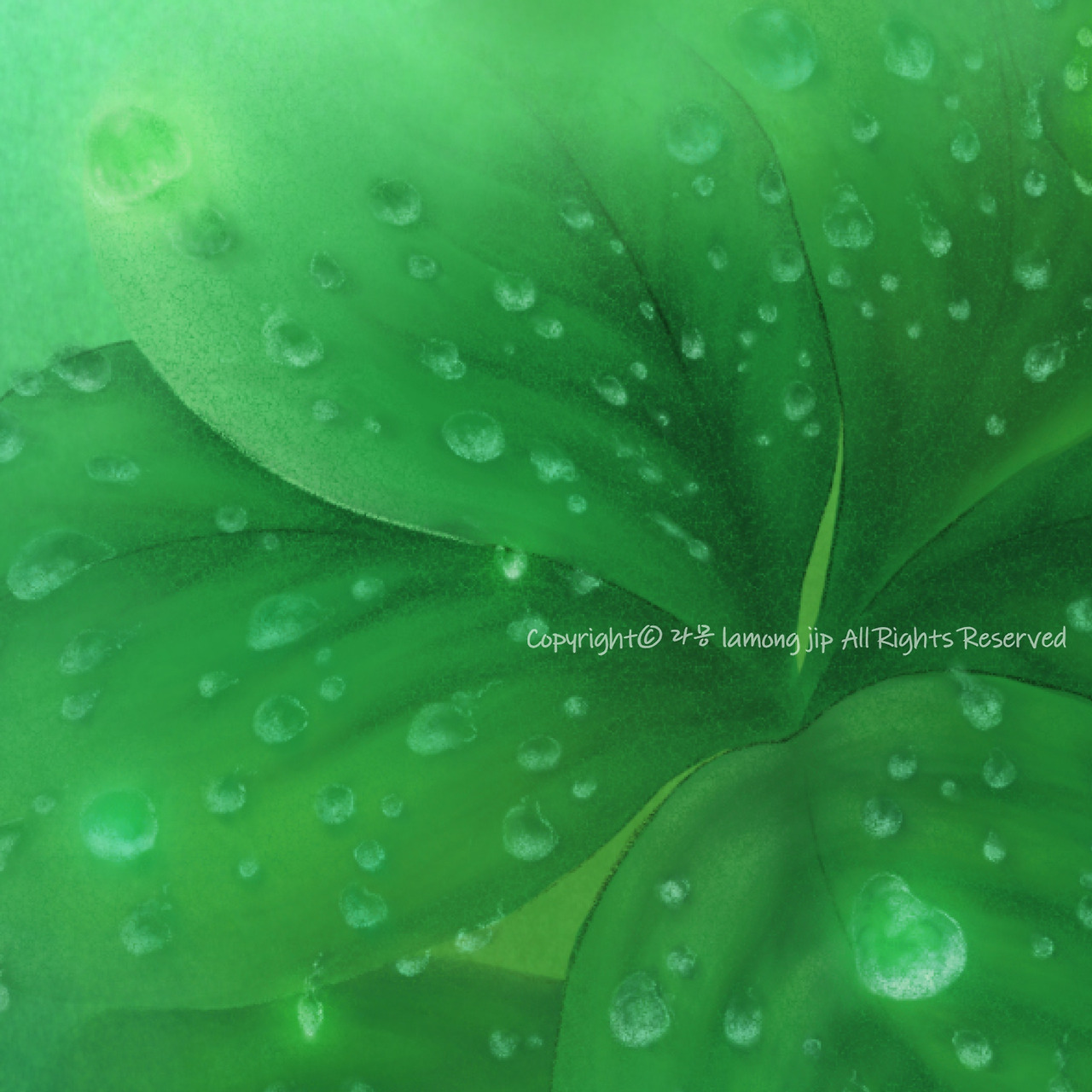 무당벌레와 네잎클로버11.jpg