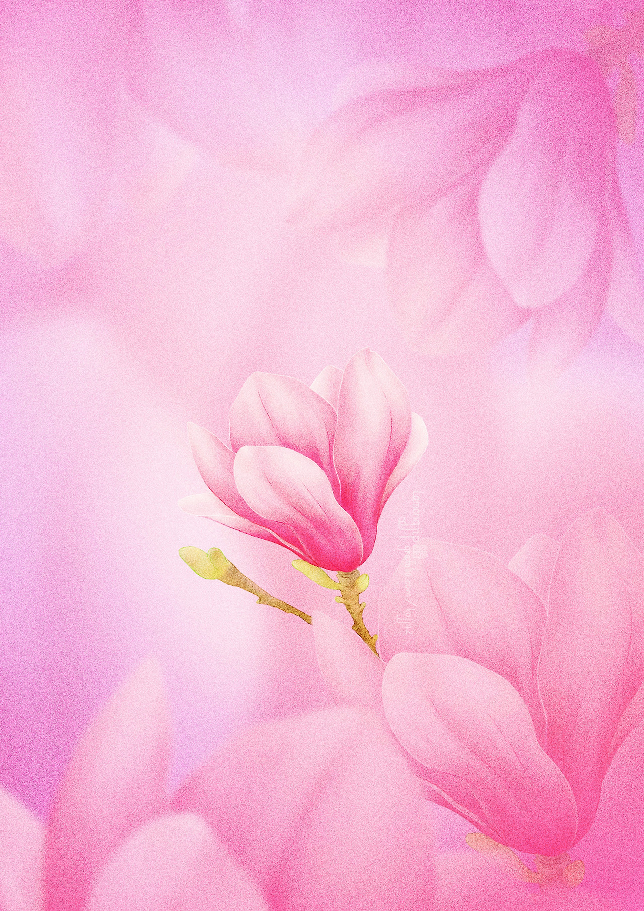 lamong jip_목련_A4.jpg