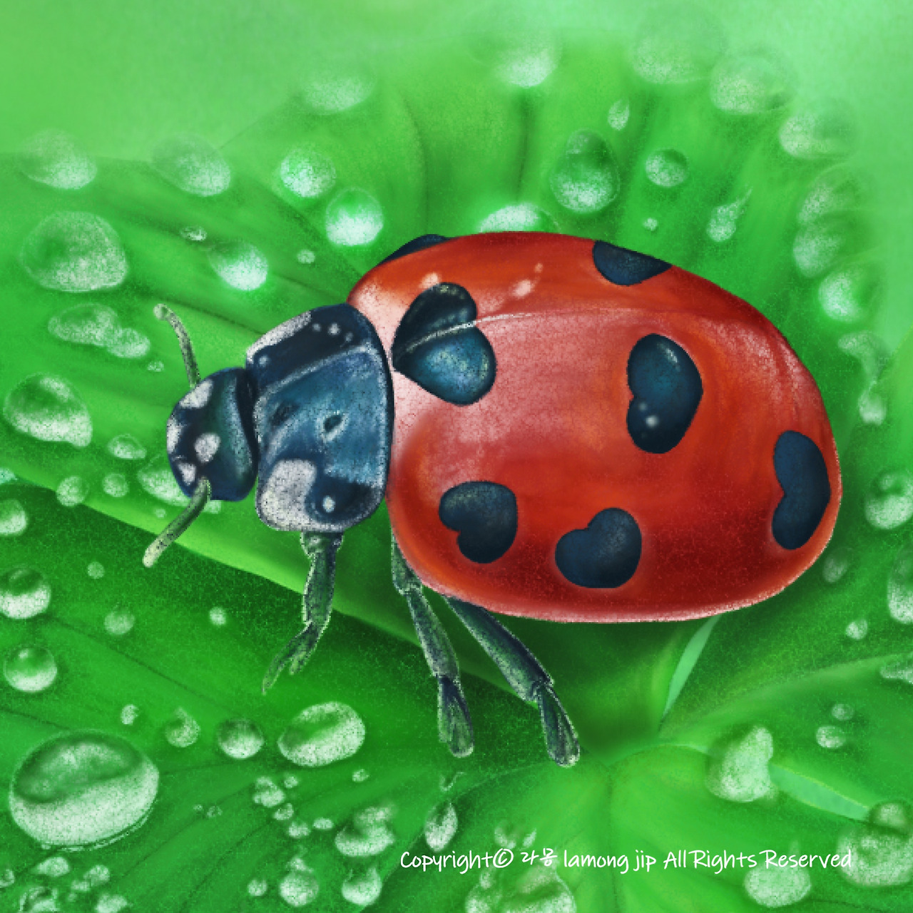 무당벌레와 네잎클로버10.jpg