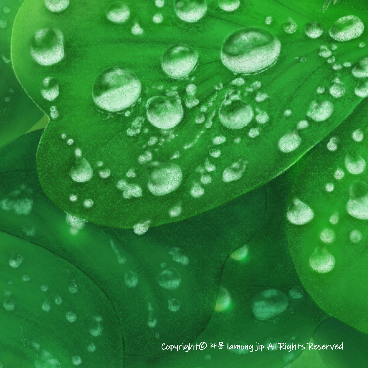 무당벌레와 네잎클로버9.jpg