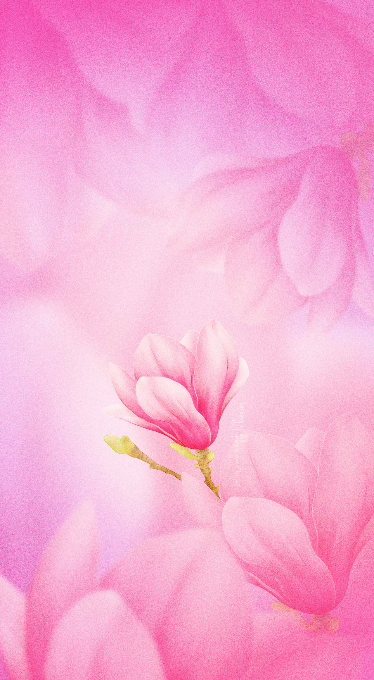 lamong jip_자목련_20x36.34.jpg