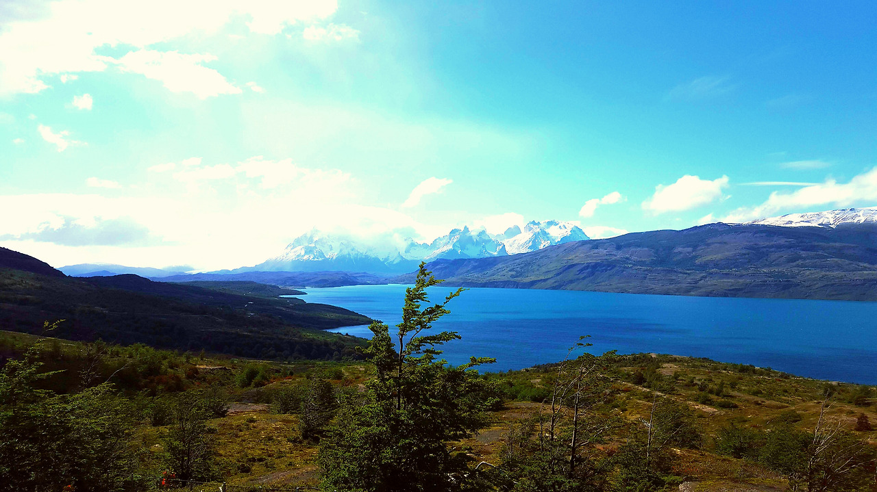 2015-11-15 16.40.56.jpg