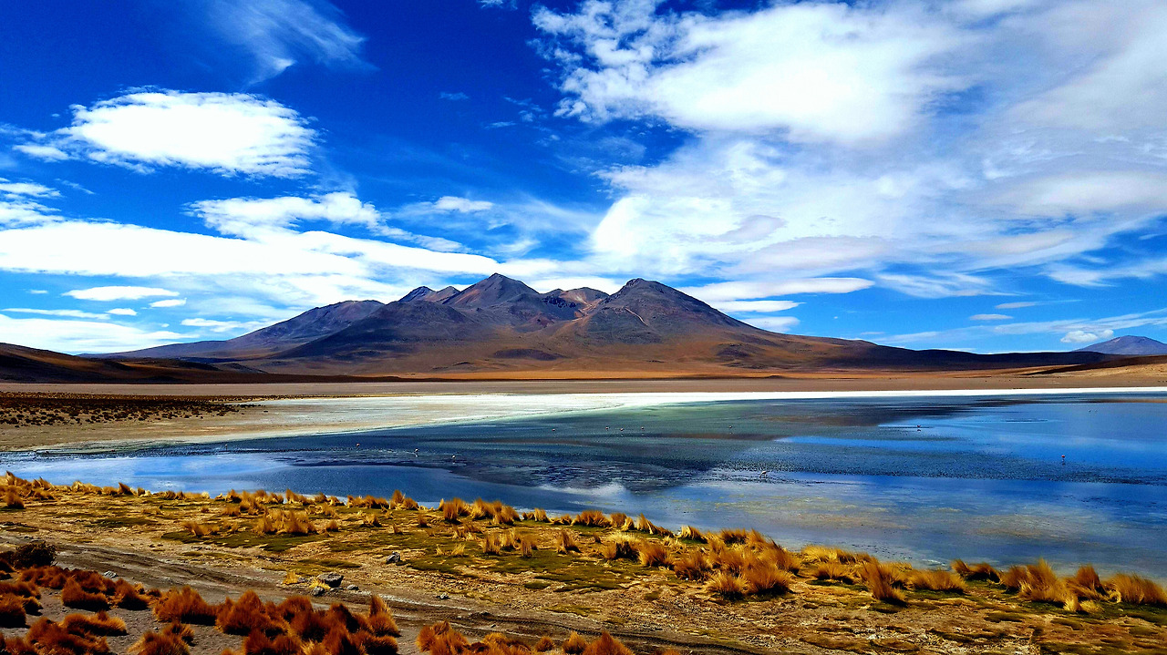 2015-11-11 16.06.38.jpg