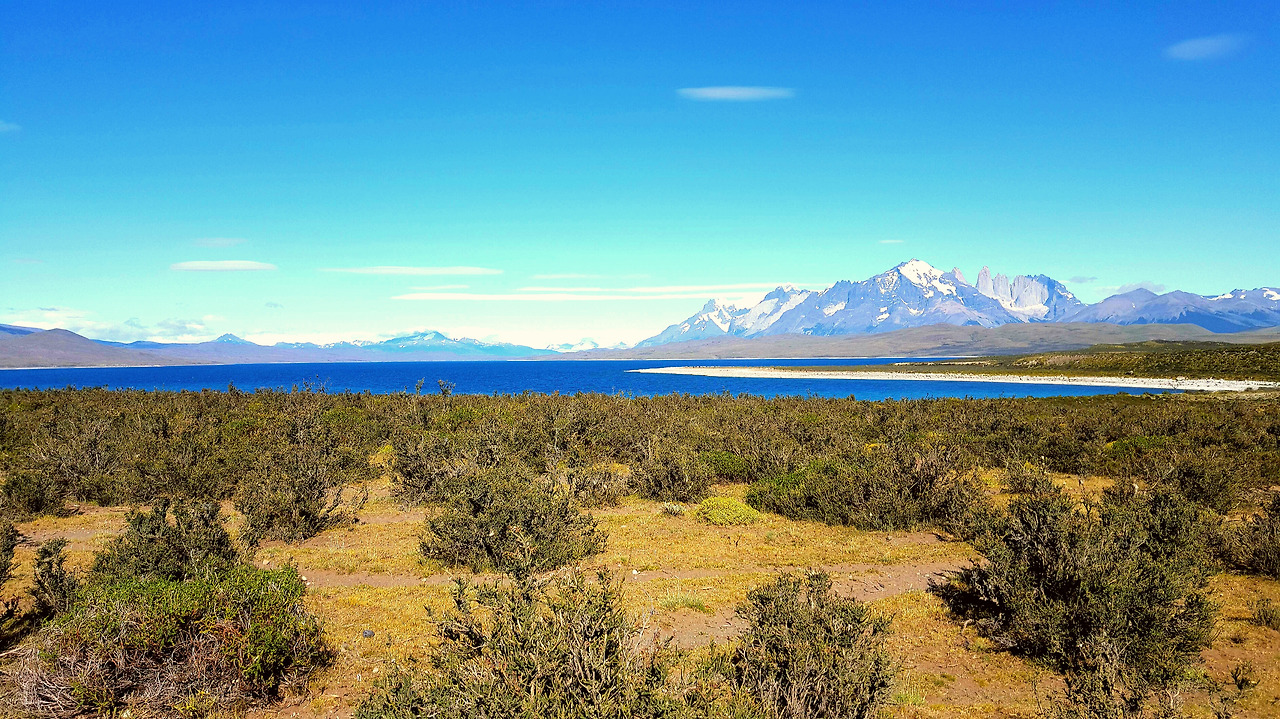 2016-01-18 20.35.24.jpg