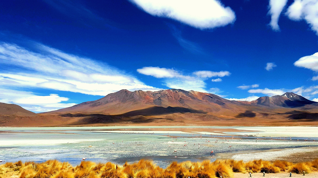 2015-11-11 16.01.51.jpg