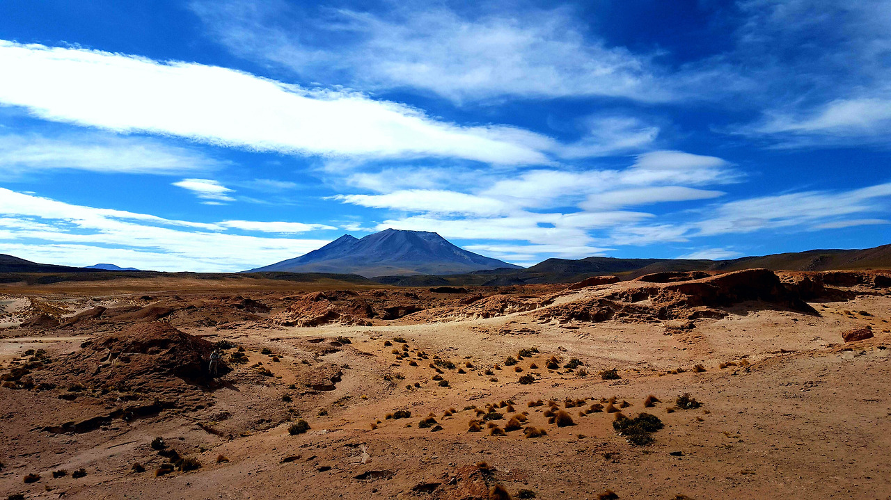 2015-11-11 15.57.26.jpg