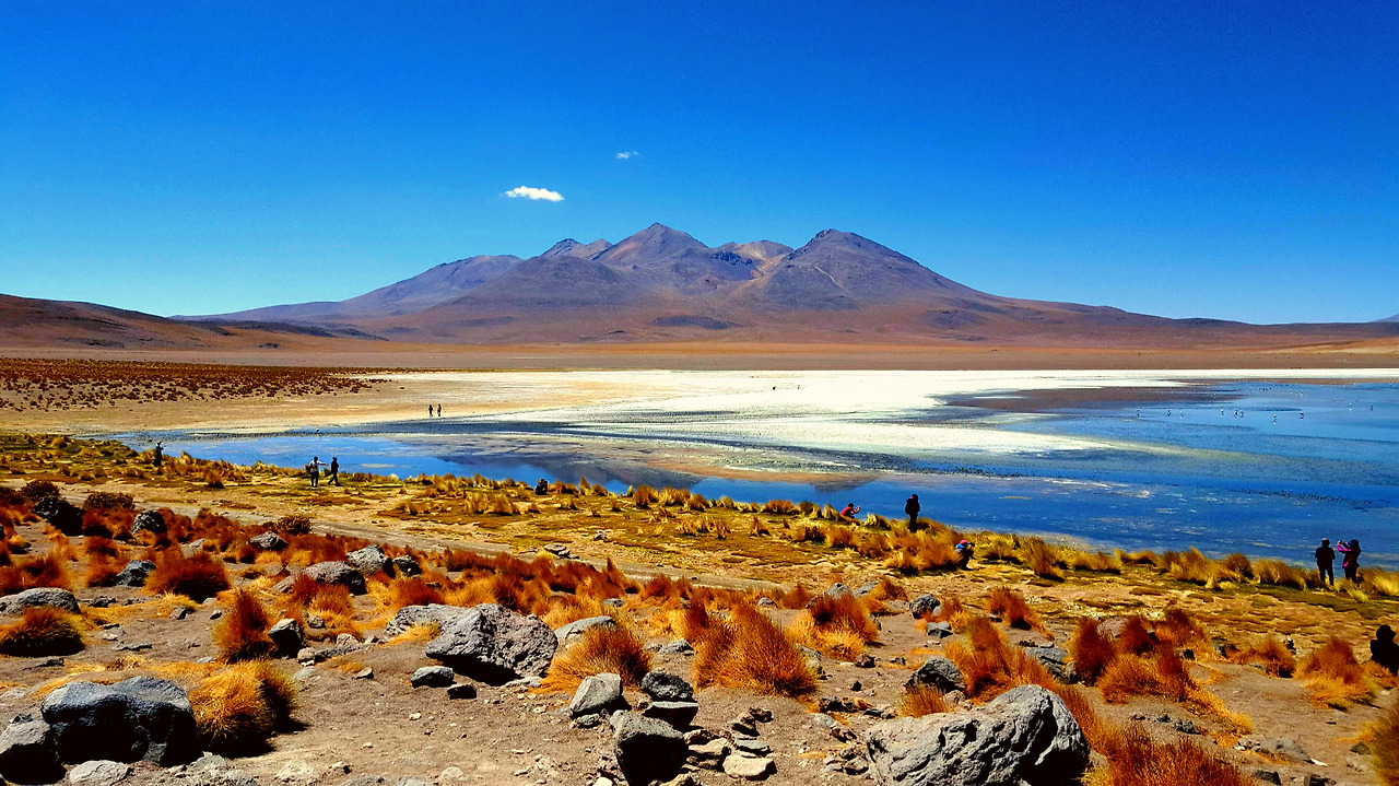 2016-01-14 11.10.29.jpg