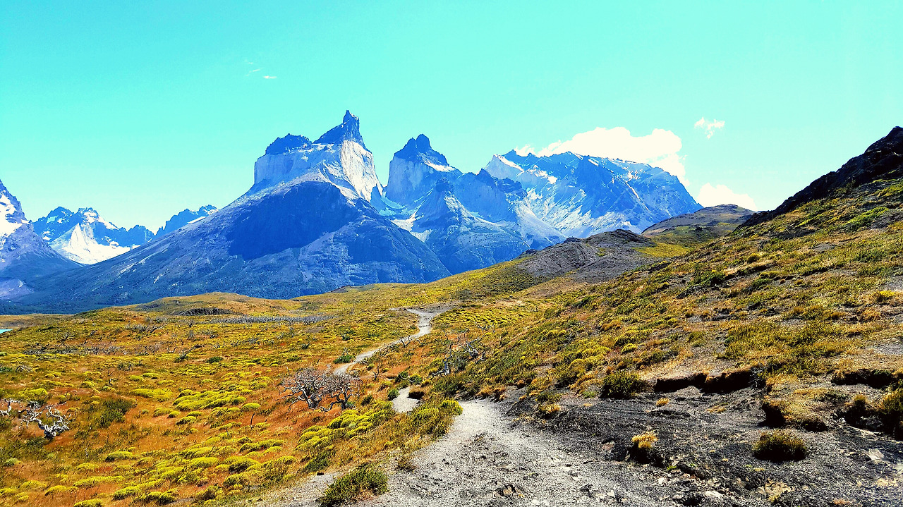 2016-01-18 20.37.20.jpg