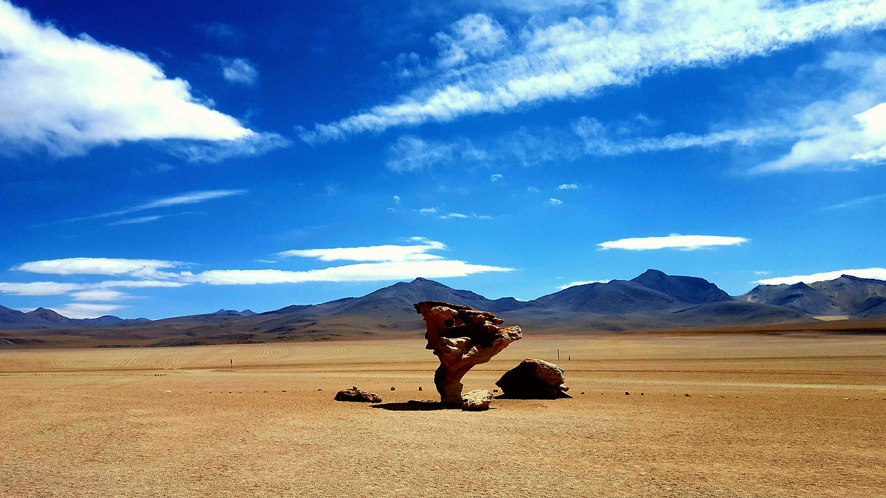 2015-11-11 16.00.25.jpg