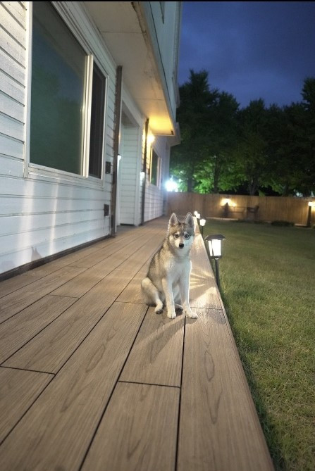 1유웰합성데크 전속모델.jpg