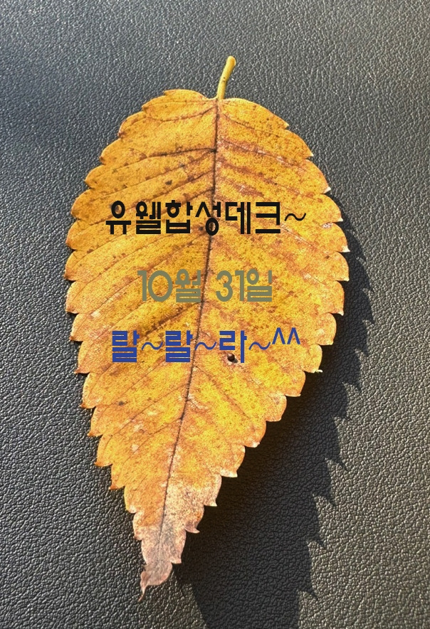 1유웰합성데크가을잎.jpg
