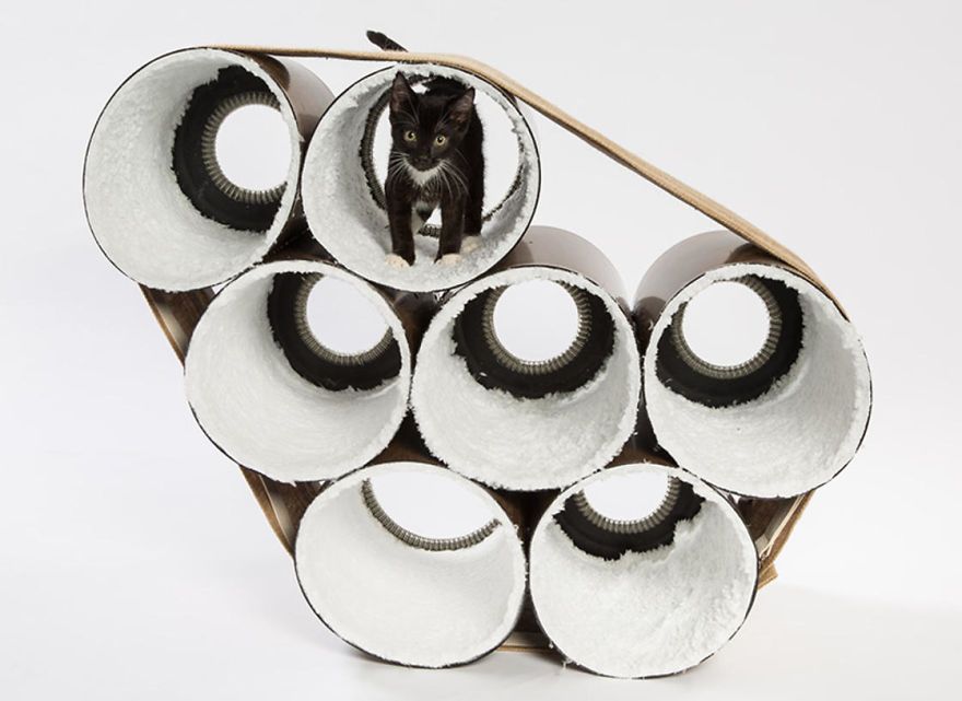 architects-cat-beds-7-59fafc17e4c5f__880.jpg