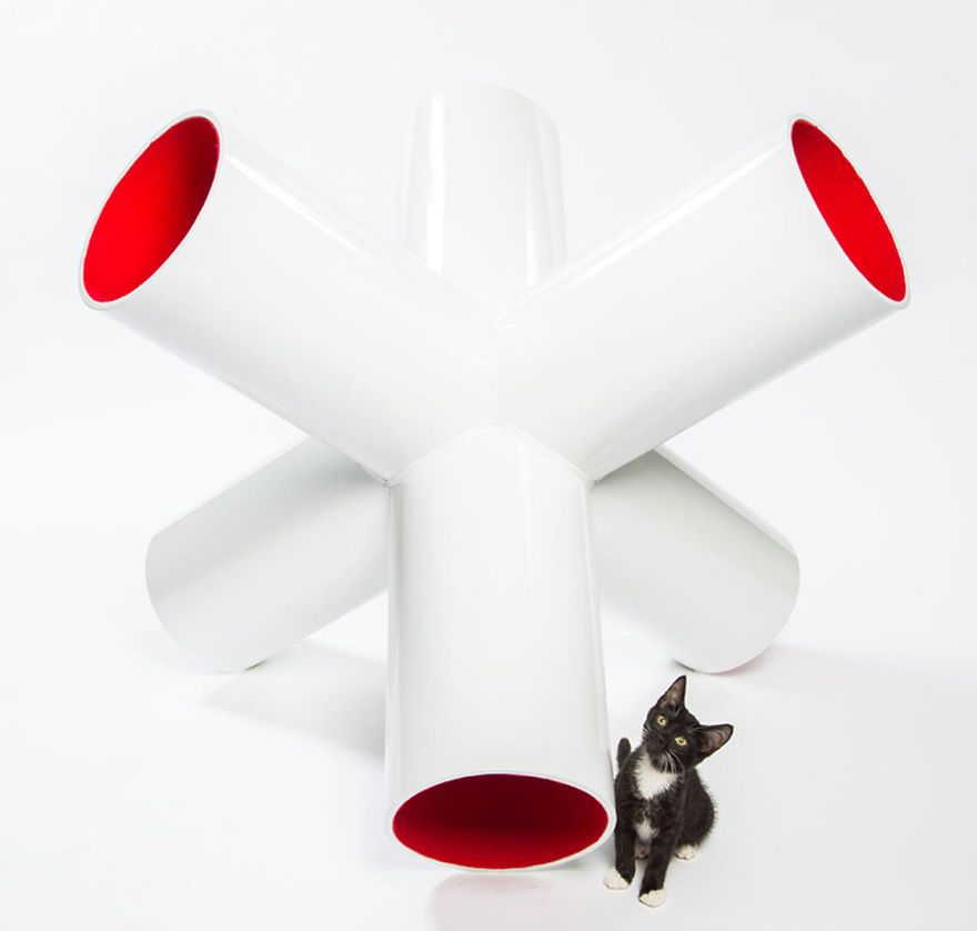 architects-cat-beds-12-59fafc280a89d__880.jpg