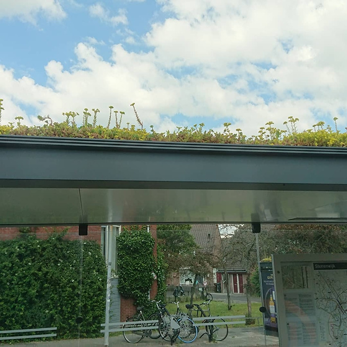 city-in-netherlands-transforms-bus-stops-into-bee-stops-utrecht-5d284efa2307d__700.jpg