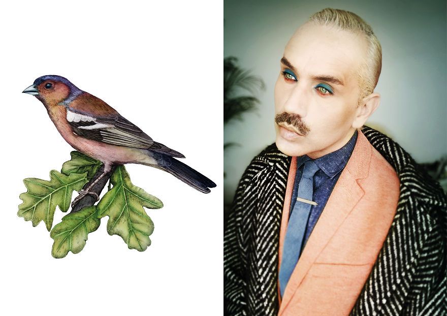 Artist-draws-birds-in-Lockdown-and-gently-references-them-5f8d7a4d663c4__880.jpg