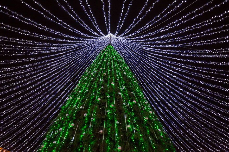 Christmas-Tree-Illuminated-by-50000-Lightbulbs-Opens-Festive-Season-in-Vilnius-583c0da573898__880.jpg