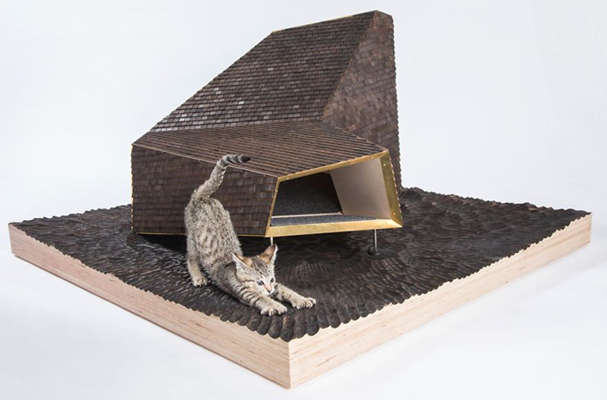 architects-cat-beds-2-59fafbf44614c__880.jpg