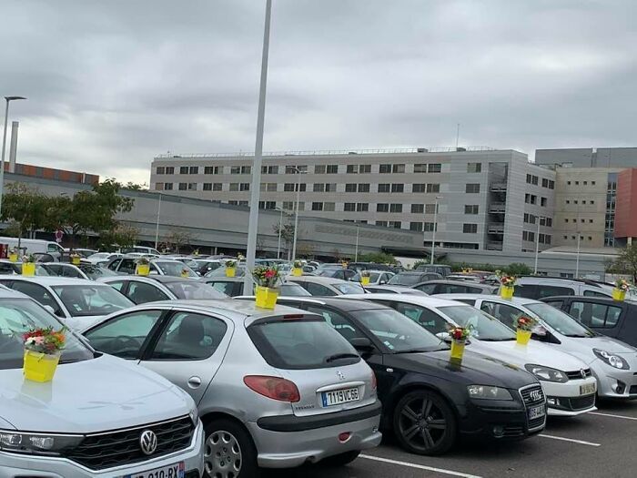 flowers-cars-carers-hospital-perpignan-5fa3e2427f61c__700.jpg