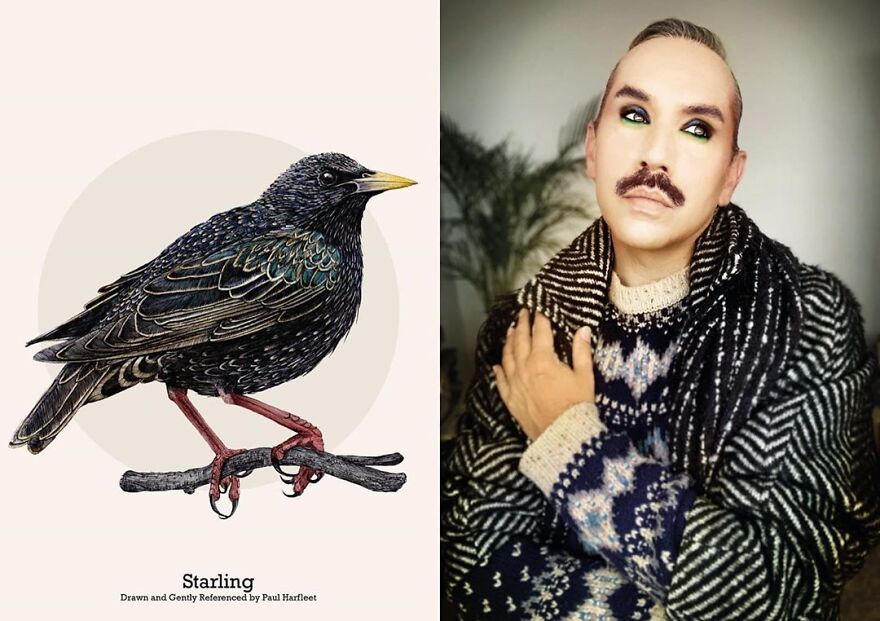Artist-draws-birds-in-Lockdown-and-gently-references-them-with-fashion-and-makeup-5f8ea4af9f5ab__880.jpg