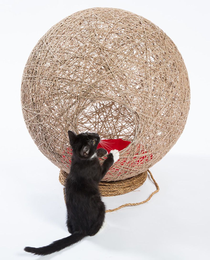 architects-cat-beds-14-59fafc5568327__880.jpg