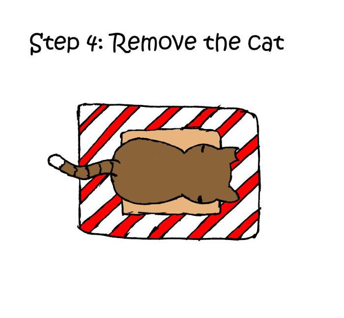 christmas-gifts-how-to-wrap-presents-when-you-have-cat-comic-iizcat-4-5c1781eeb3d85__700.jpg