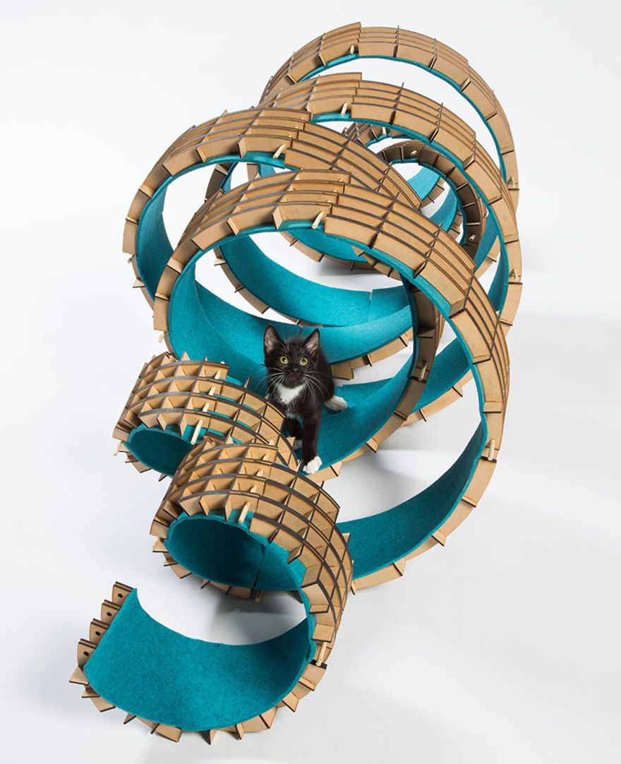 architects-cat-beds-5-59fafc0fde96c__880.jpg