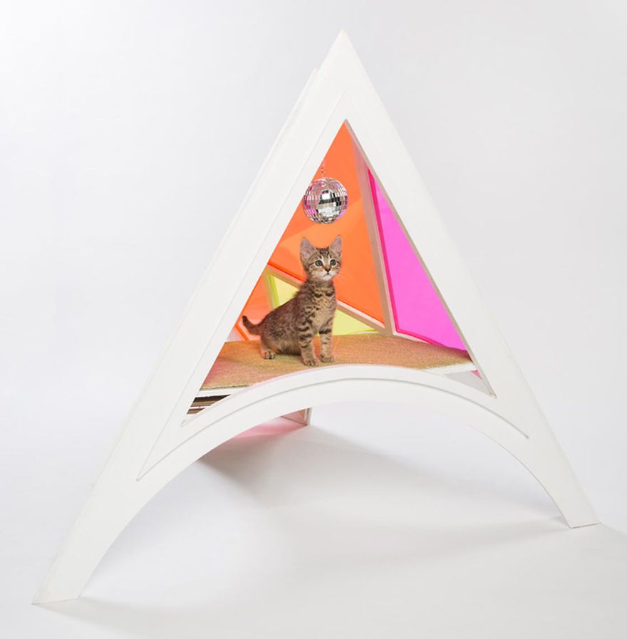 architects-cat-beds-10-59fafc2018734__880.jpg