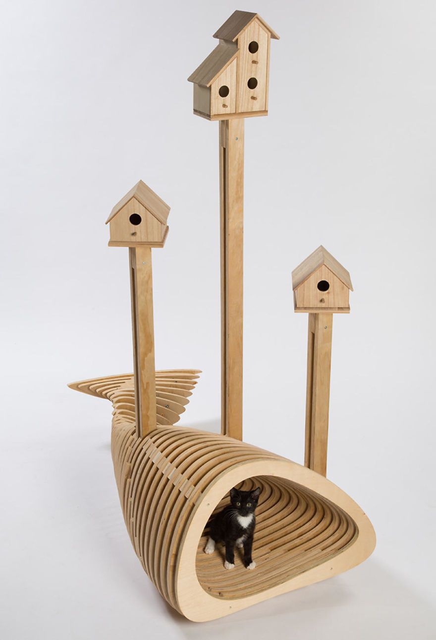 architects-cat-beds-4-59fafbfd324b6__880.jpg