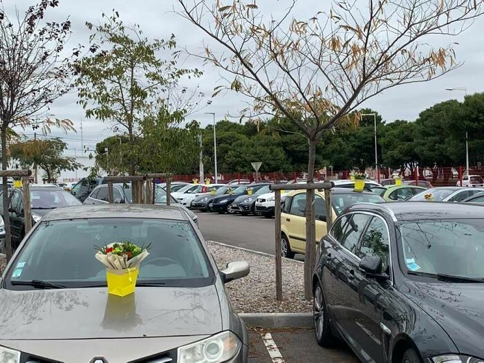 flowers-cars-carers-hospital-perpignan-5fa3e259cbd3c__700.jpg