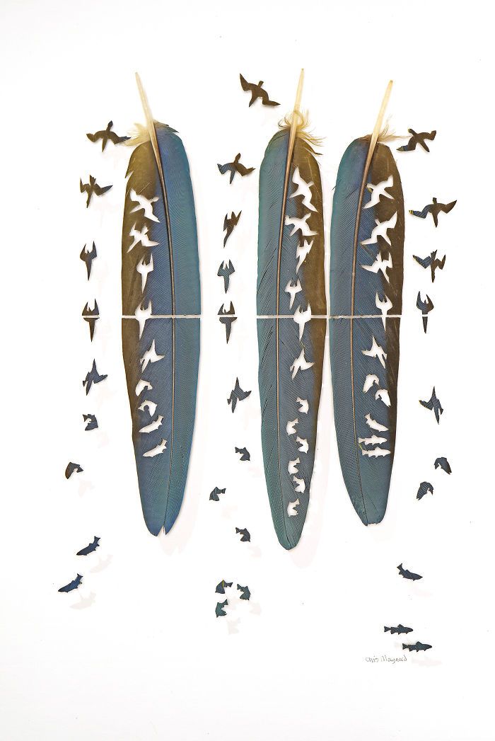 Chris-Maynard-at-Featherfolio-Returns-with-More-Feather-Carvings-5ec670e51fbbc__700.jpg