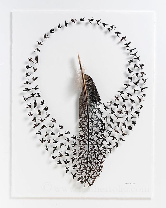 Chris-Maynard-Carves-Feathers-into-Intricate-Art-5a43505e575e0__700 (1).jpg
