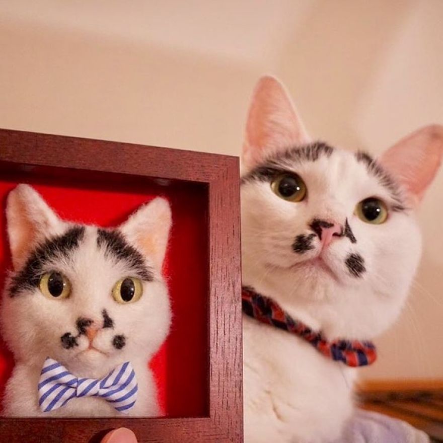 Artist-makes-hyper-realistic-cats-using-felted-wool-and-the-result-is-wonderful-5b51cb5ed02f6__880.jpg