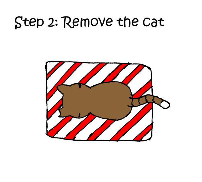 christmas-gifts-how-to-wrap-presents-when-you-have-cat-comic-iizcat-2-5c1781eb2c62a__700.jpg