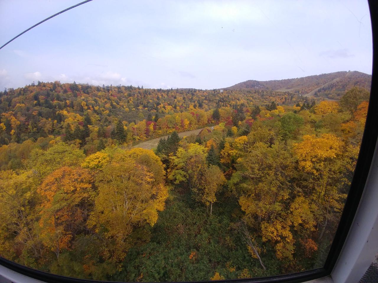 케이블 전망1.jpg