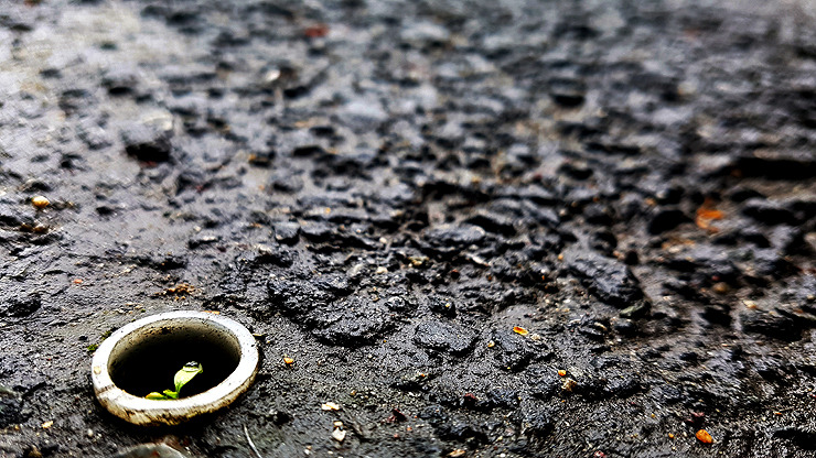 스마트폰카메라사진구도 (6).jpg