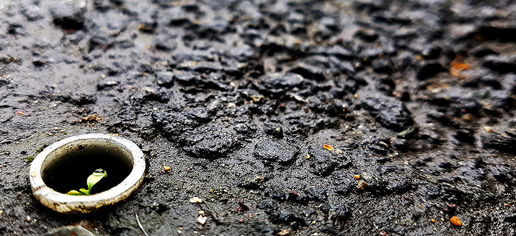 스마트폰카메라사진구도 (7).jpg