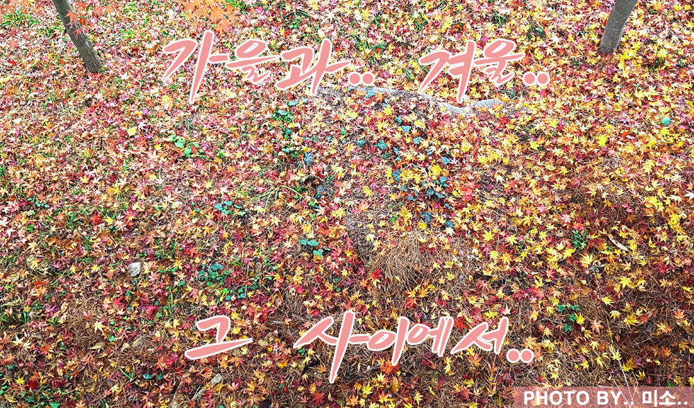 20161127_152619 - 복사본.jpg