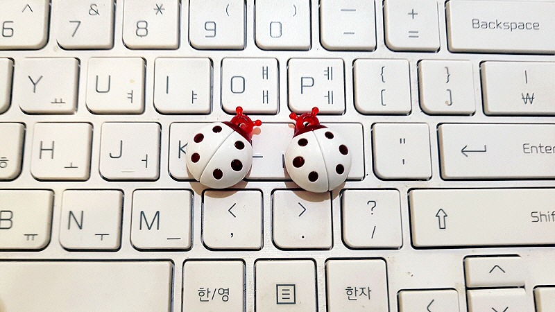 스마트폰카메라사진 (3).jpg