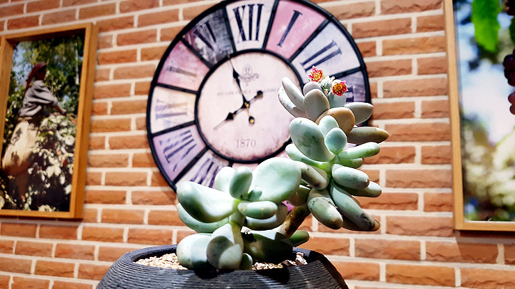 스마트폰 카메라로 사진 잘 찍는 방법 (30).jpg