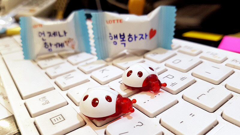 스마트폰카메라사진 (9).jpg