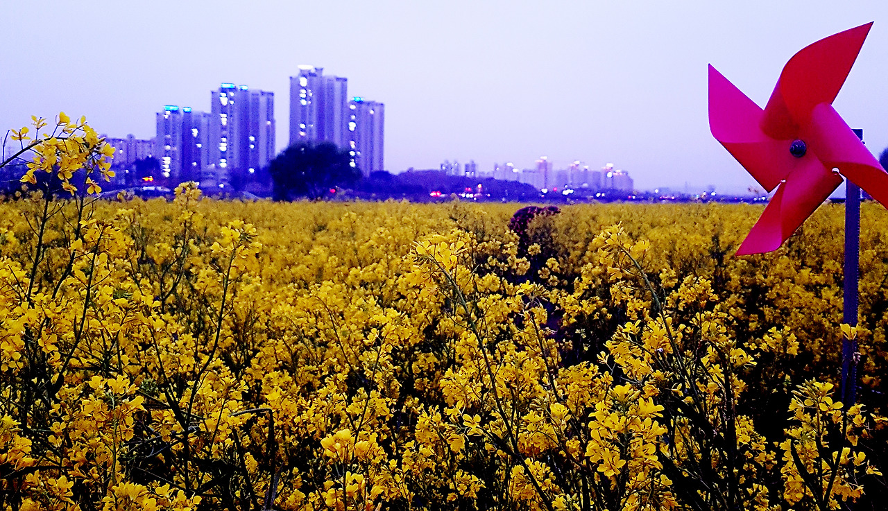 스마트폰 카메라로 사진 잘 찍는 법 (01).jpg