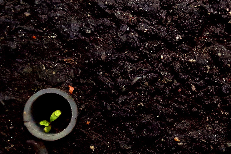 스마트폰카메라사진구도 (3).jpg